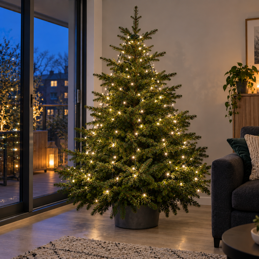 Kerstboomverlichting met topring