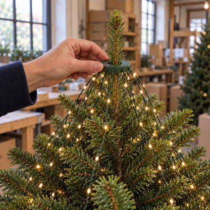 Kerstboomverlichting met topring
